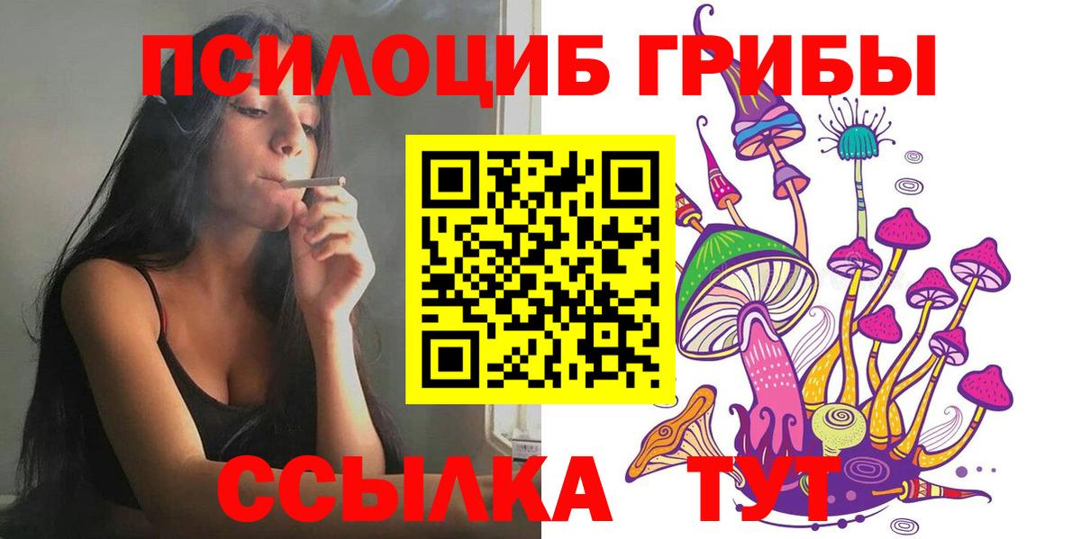 Галлюциногенные грибы мицелий Сосновый Бор